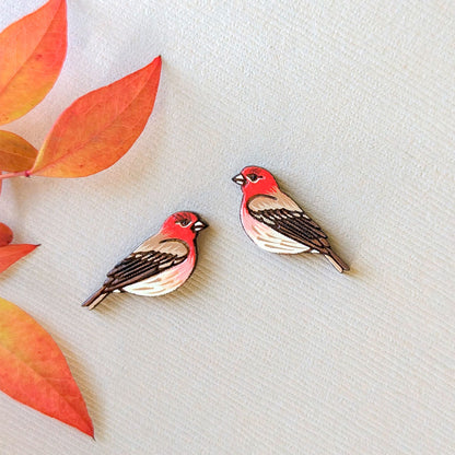 House Finch Studs
