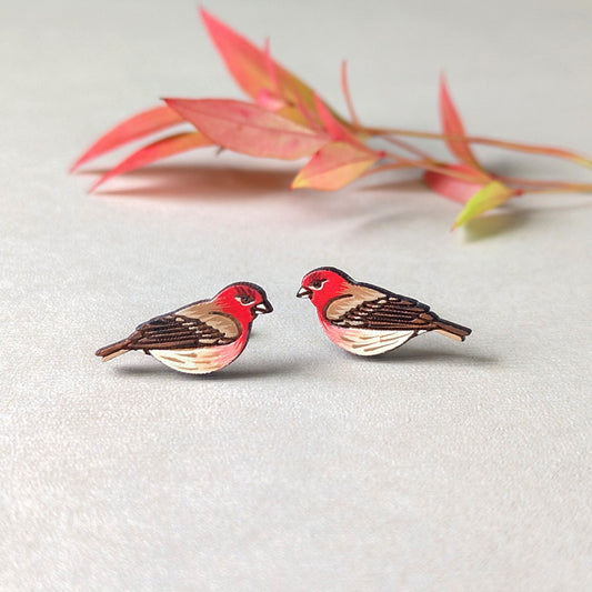 House Finch Studs