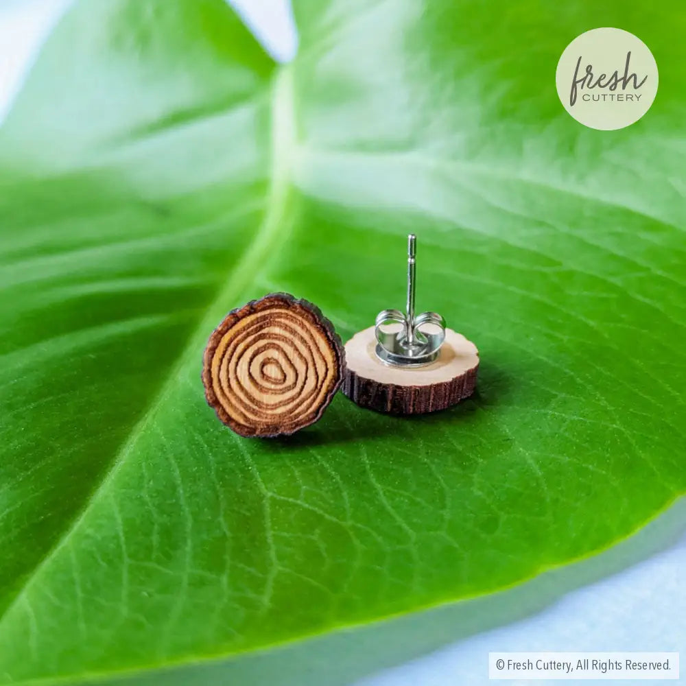 Tree Ring Studs