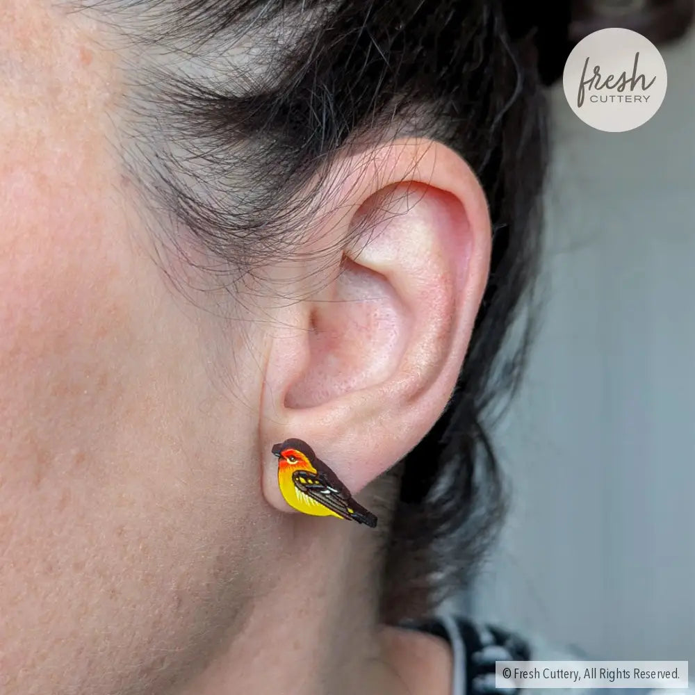 Western Tanager Studs