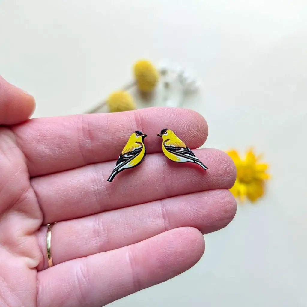 American Goldfinch Studs Studs