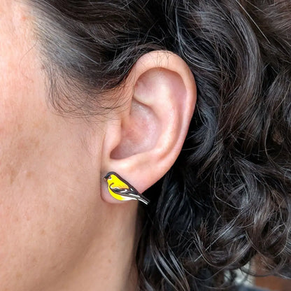 American Goldfinch Studs Studs