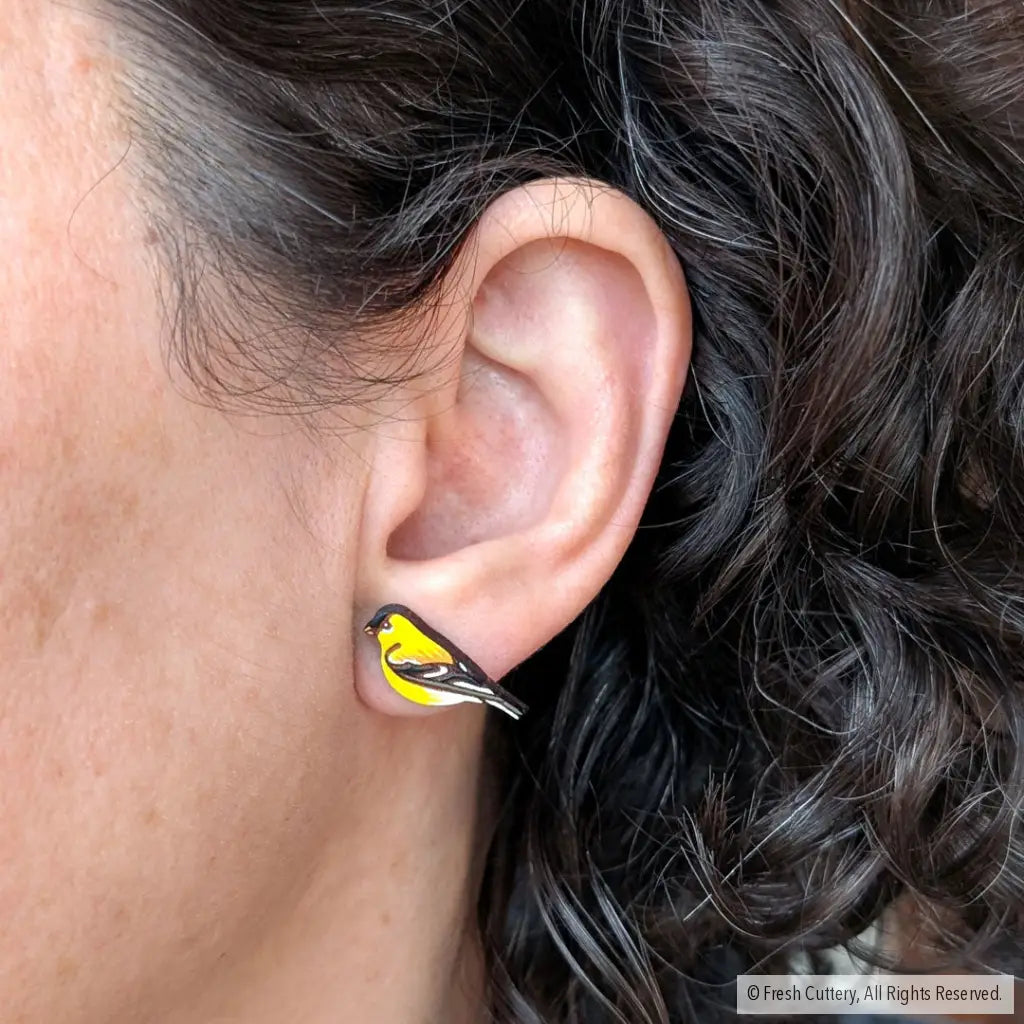 American Goldfinch Studs Studs