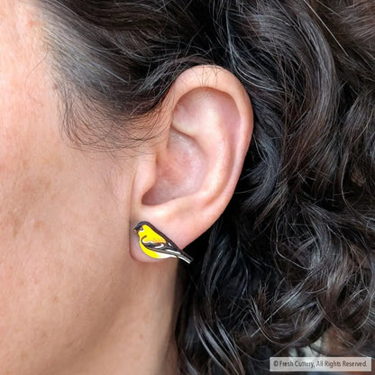 American Goldfinch Studs Studs