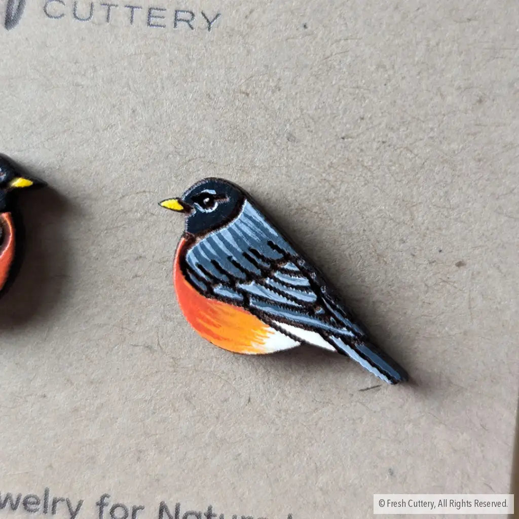 American Robin Studs
