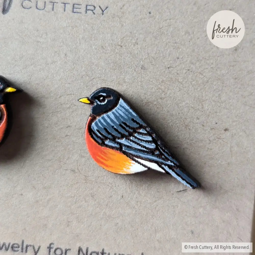 American Robin Studs