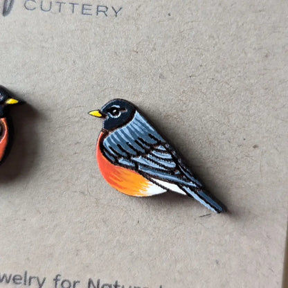 American Robin Studs