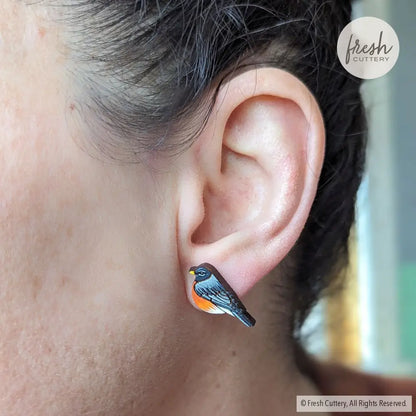 American Robin Studs