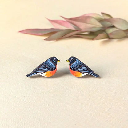 American Robin Studs