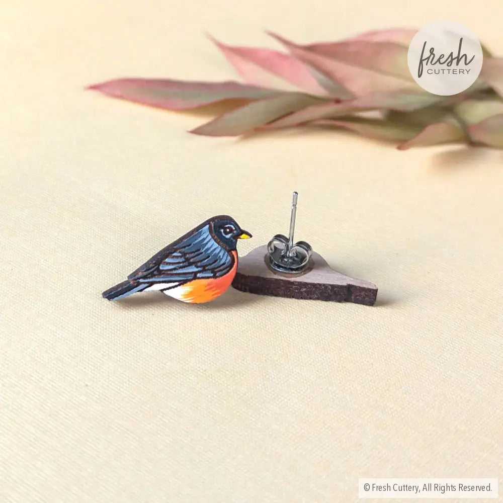 American Robin Studs