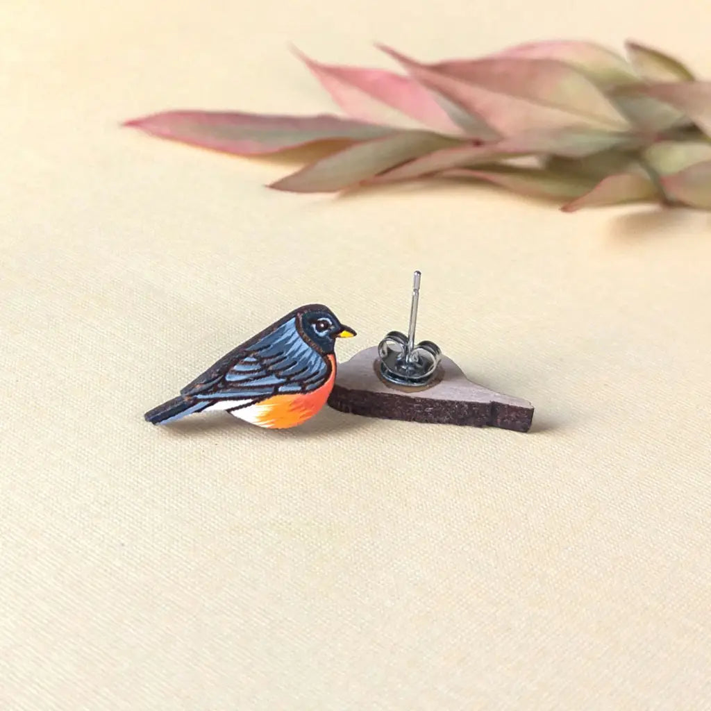 American Robin Studs