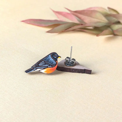 American Robin Studs
