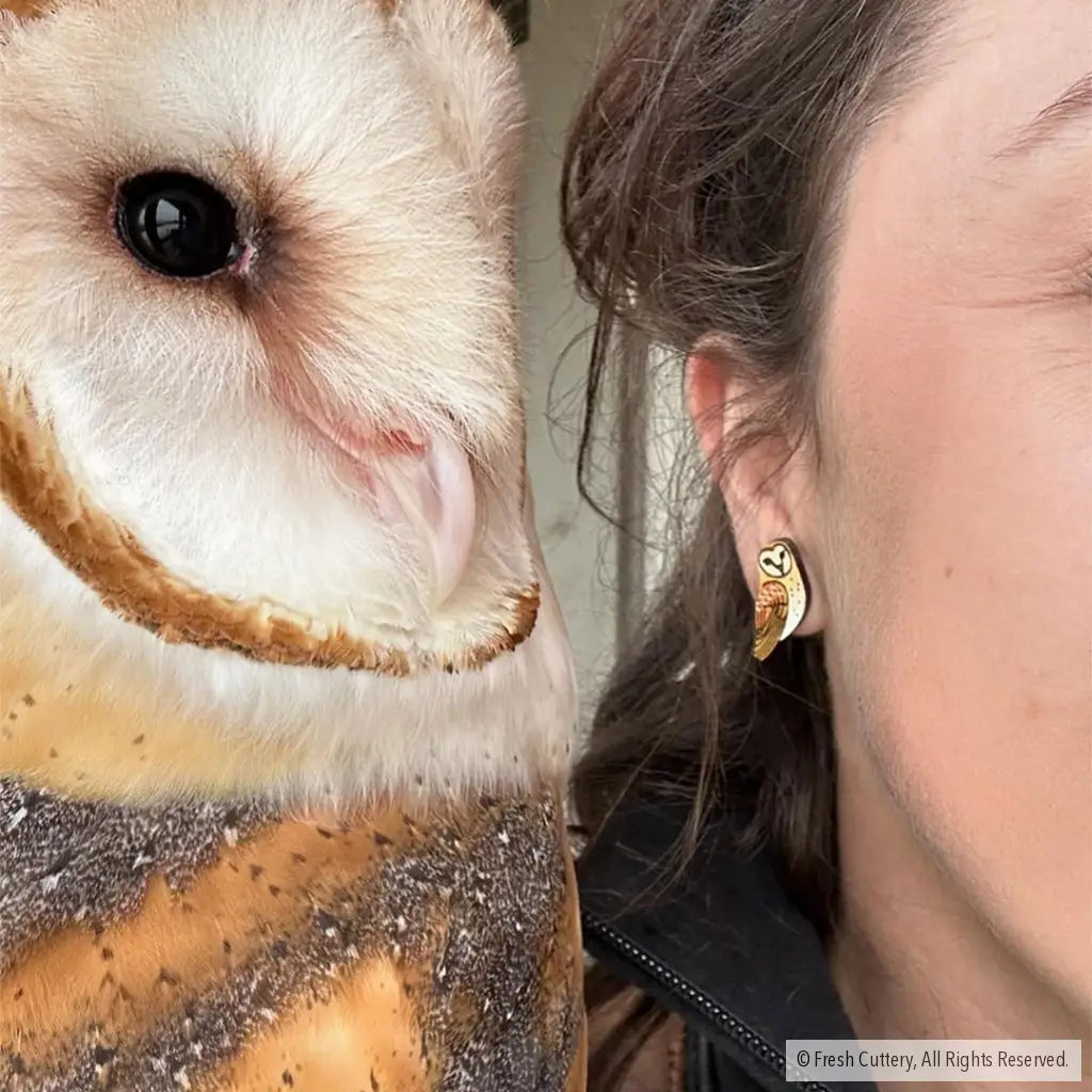 Barn Owl Studs Studs