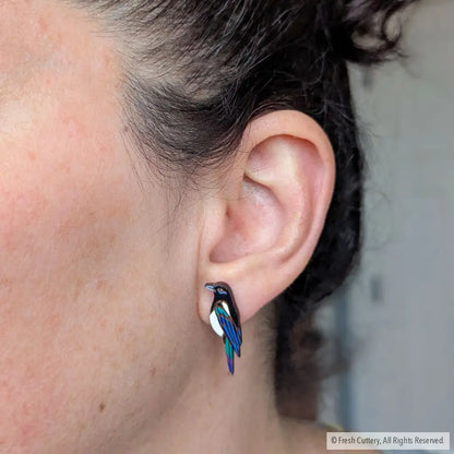 Black-Billed Magpie Studs