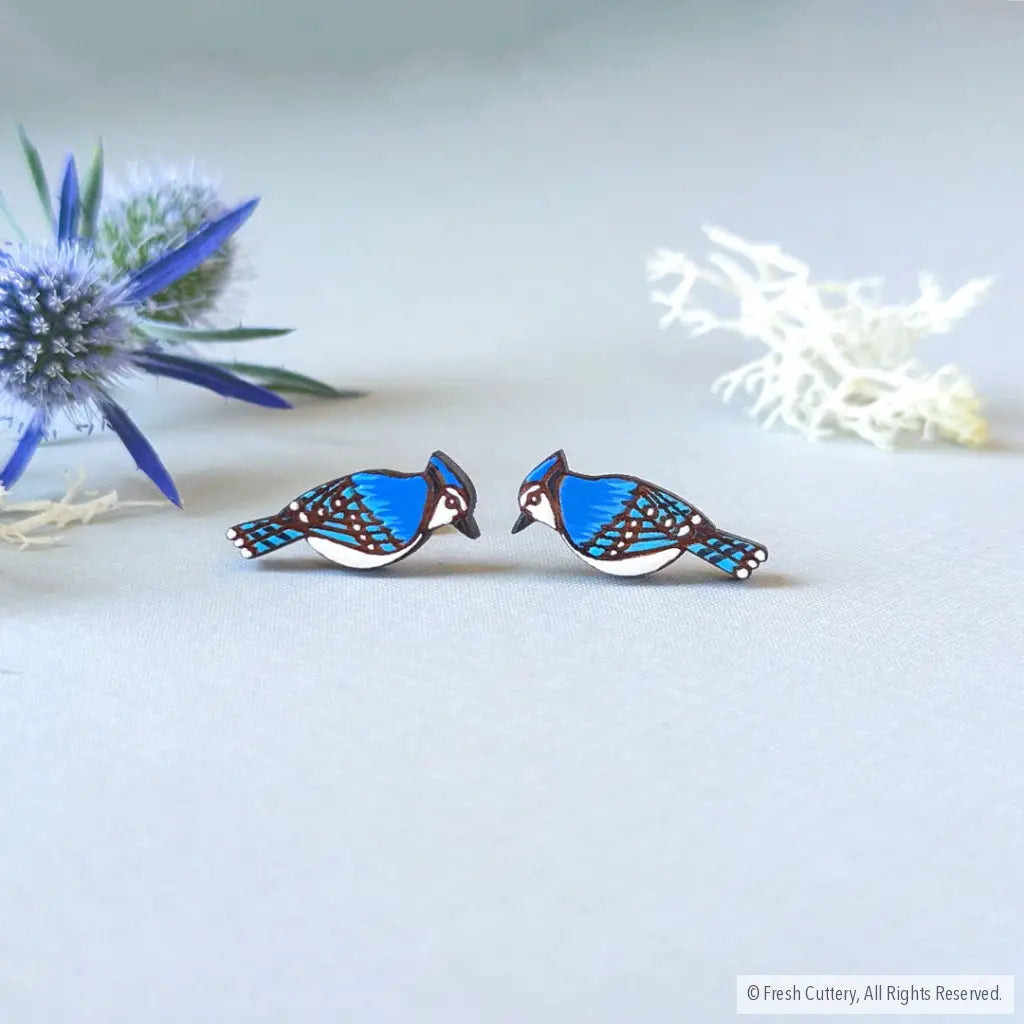 Blue Jay Studs