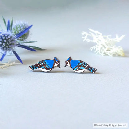 Blue Jay Studs