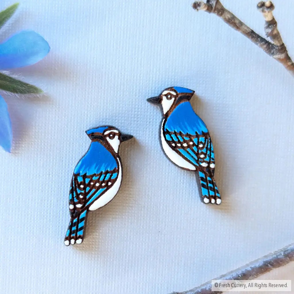 Blue Jay Studs