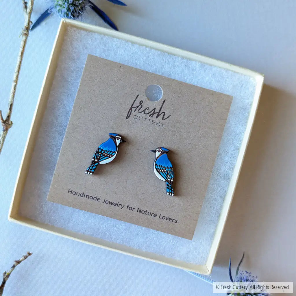 Blue Jay Studs