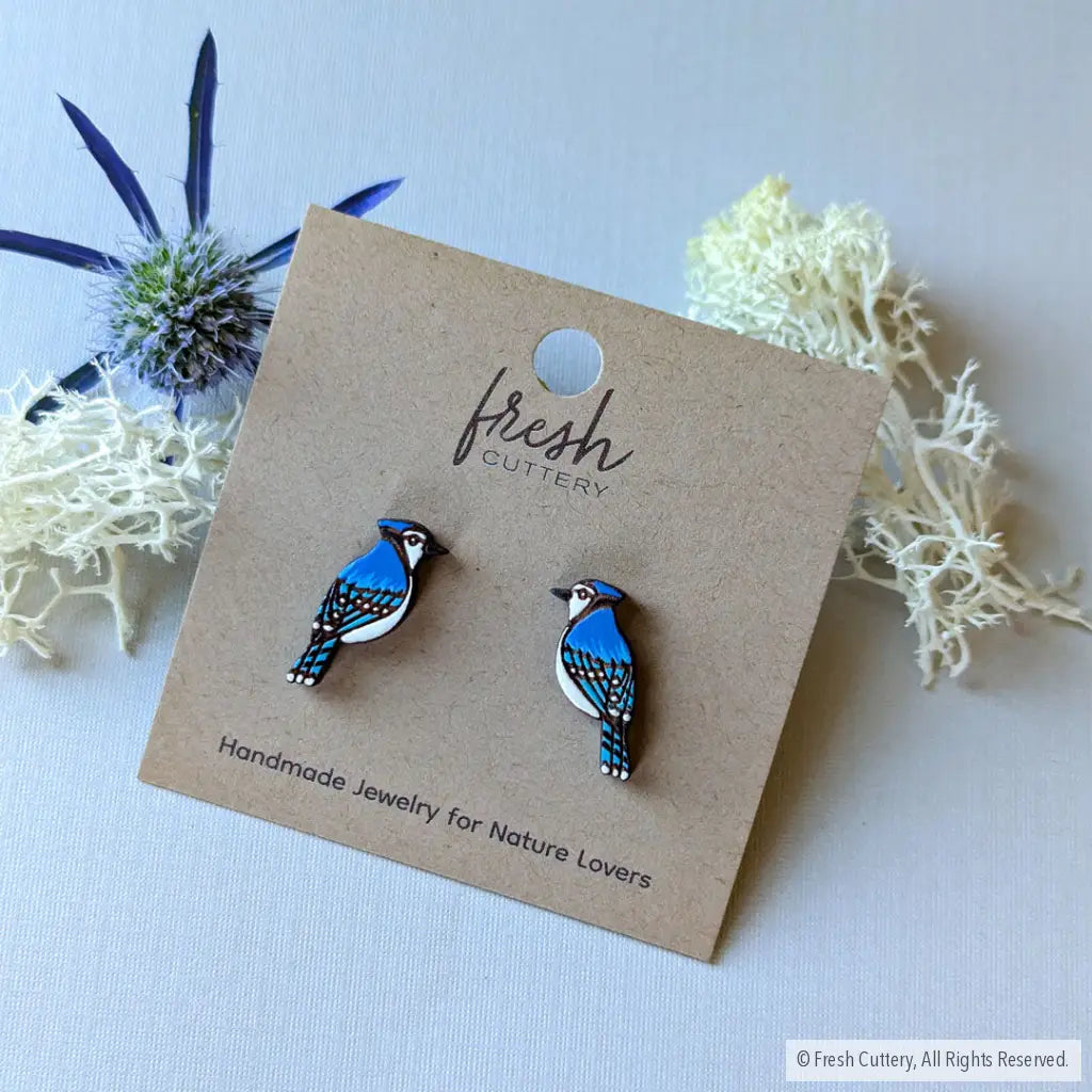 Blue Jay Studs