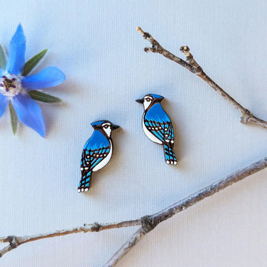 Blue Jay Studs