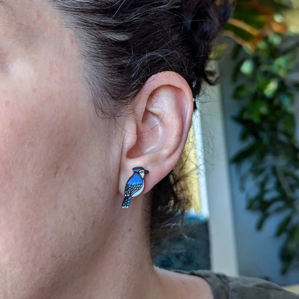 Blue Jay Studs