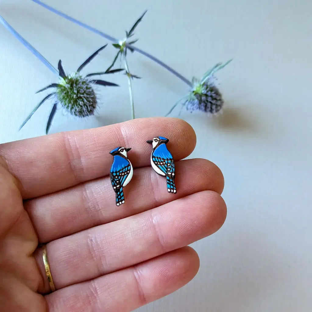 Blue Jay Studs