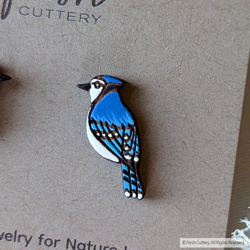 Blue Jay Studs