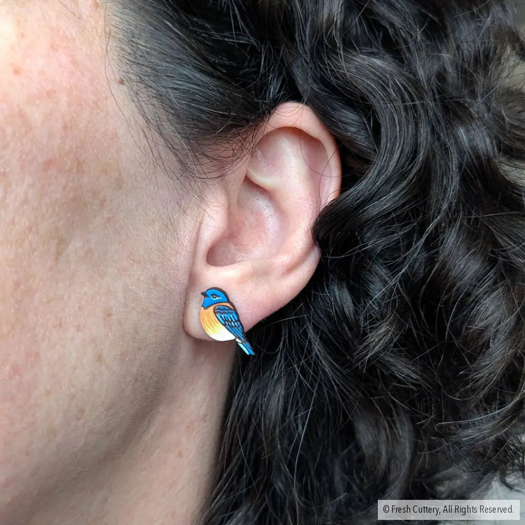 Bluebird Studs Studs