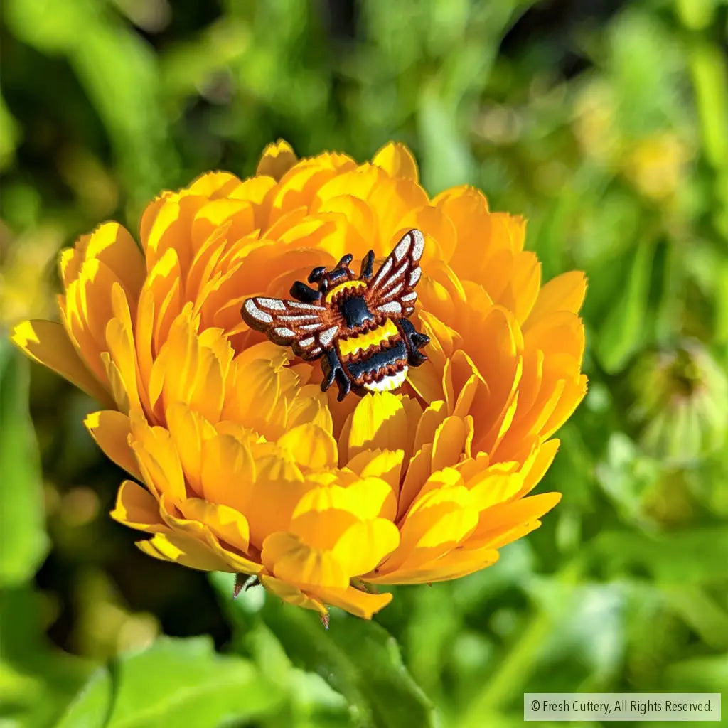 Bumblebee Studs - Studs