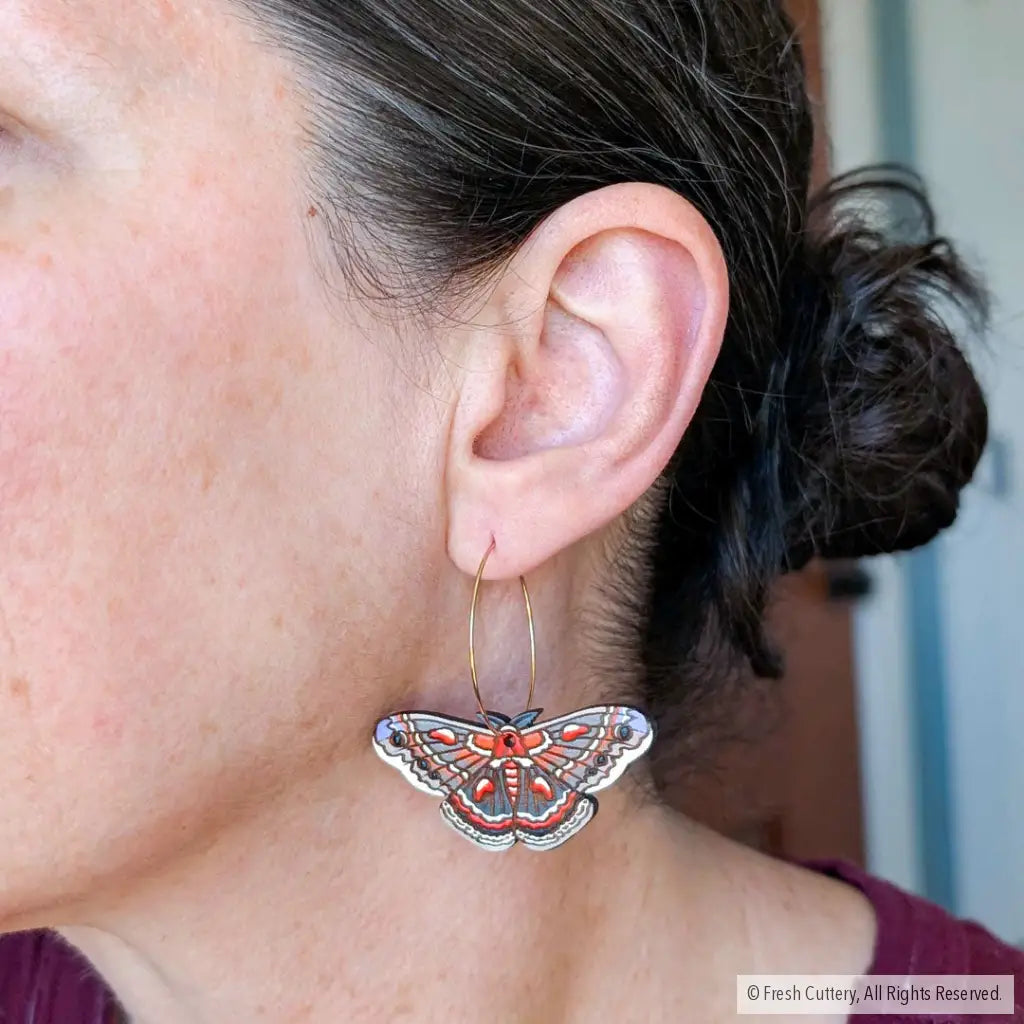 Cecropia Moth Earrings - Dangle and Drop Earrings