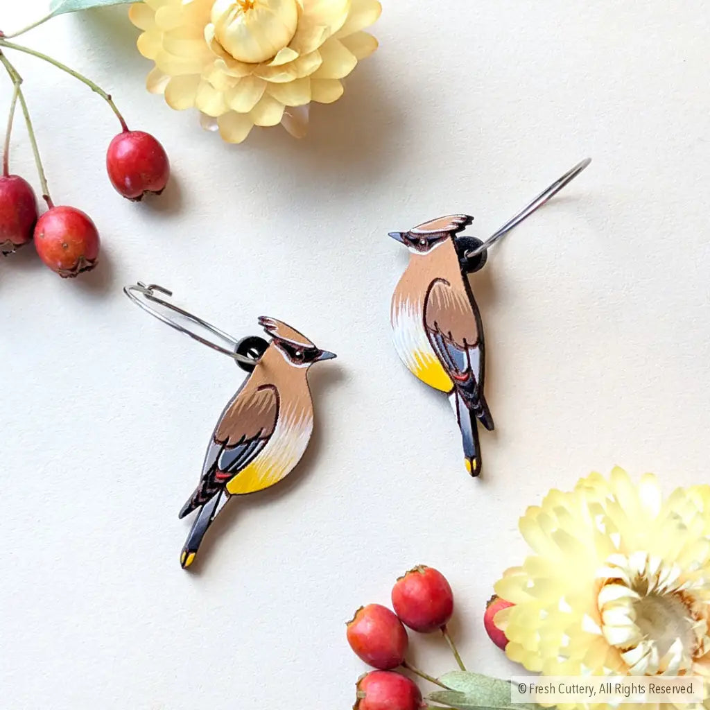 Cedar Waxwing Earrings - Silver Hoops - Dangle and Drop Earrings