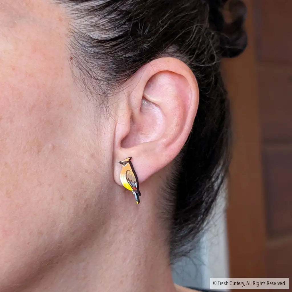 Cedar Waxwing Studs - Studs