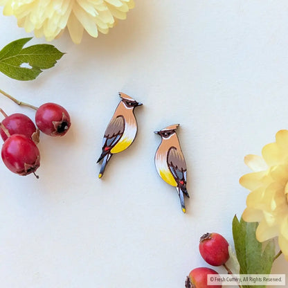 Cedar Waxwing Studs - Studs