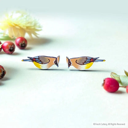 Cedar Waxwing Studs - Studs