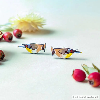 Cedar Waxwing Studs - Studs