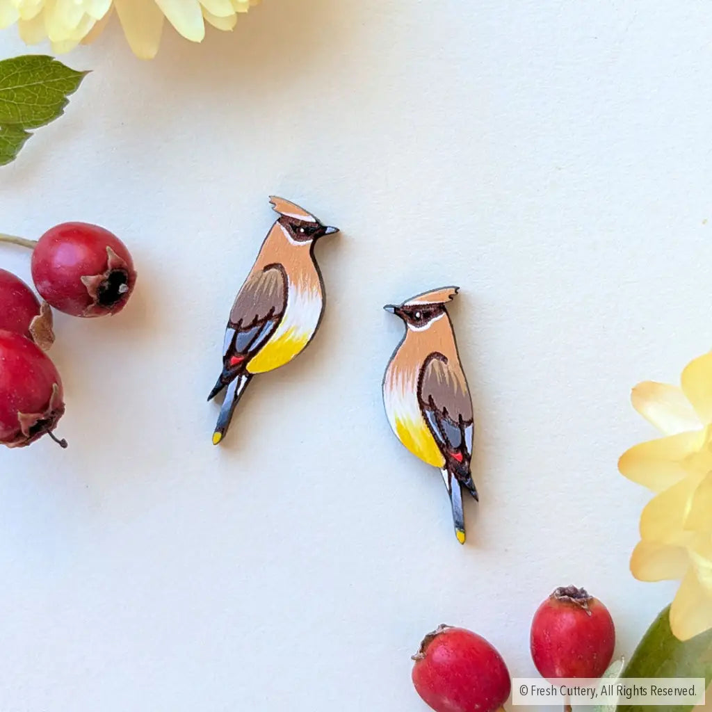 Cedar Waxwing Studs - Studs
