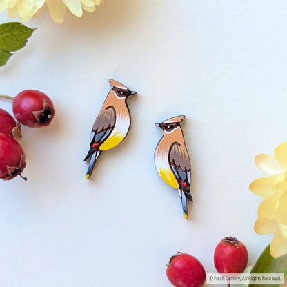 Cedar Waxwing Studs - Studs