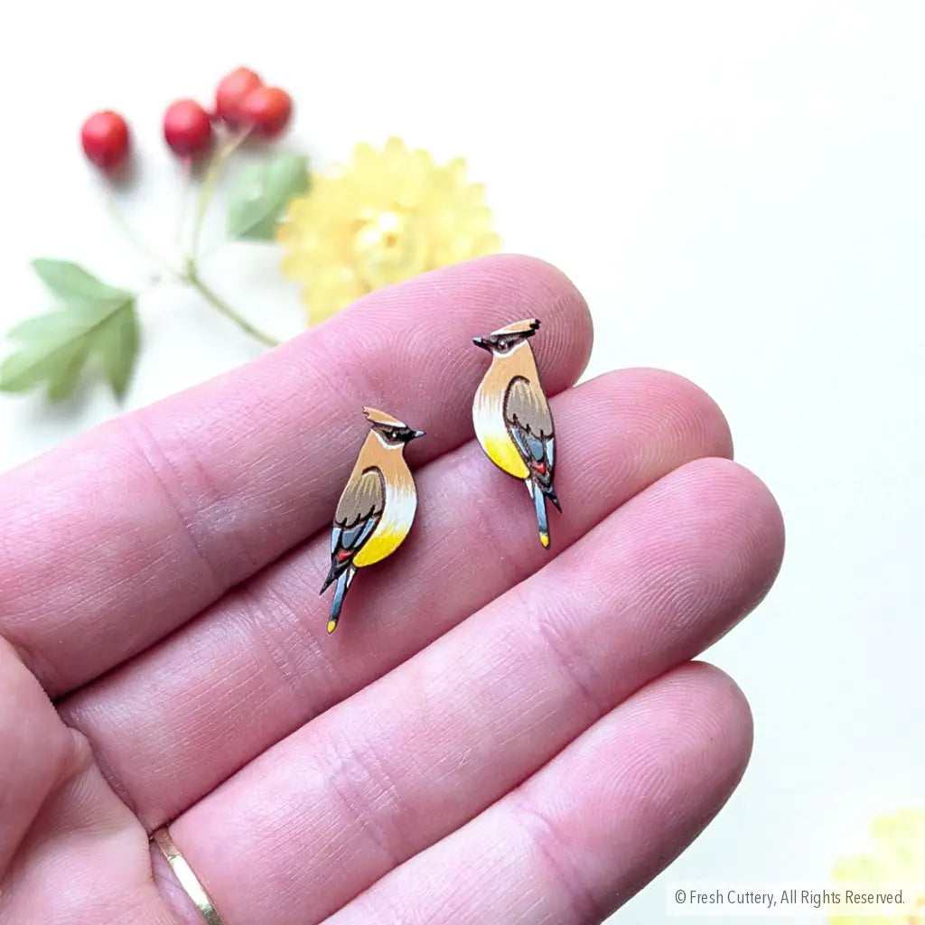 Cedar Waxwing Studs - Studs