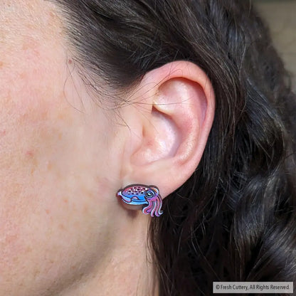 Cuttlefish Studs