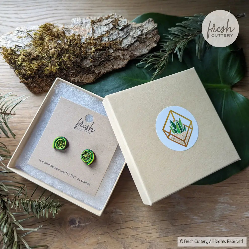 Fiddlehead Fern Studs