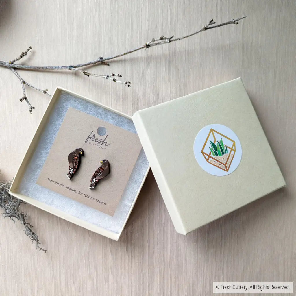 Harris Hawk Studs