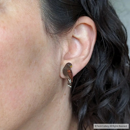 Harris Hawk Studs