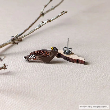 Harris Hawk Studs