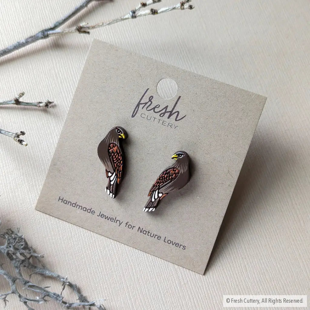 Harris Hawk Studs