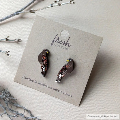Harris Hawk Studs