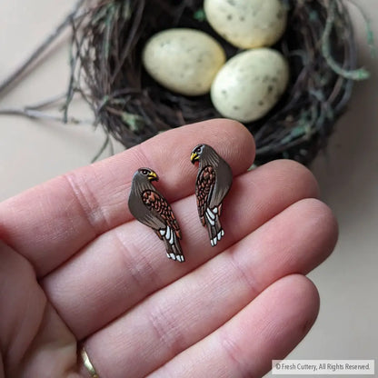 Harris Hawk Studs