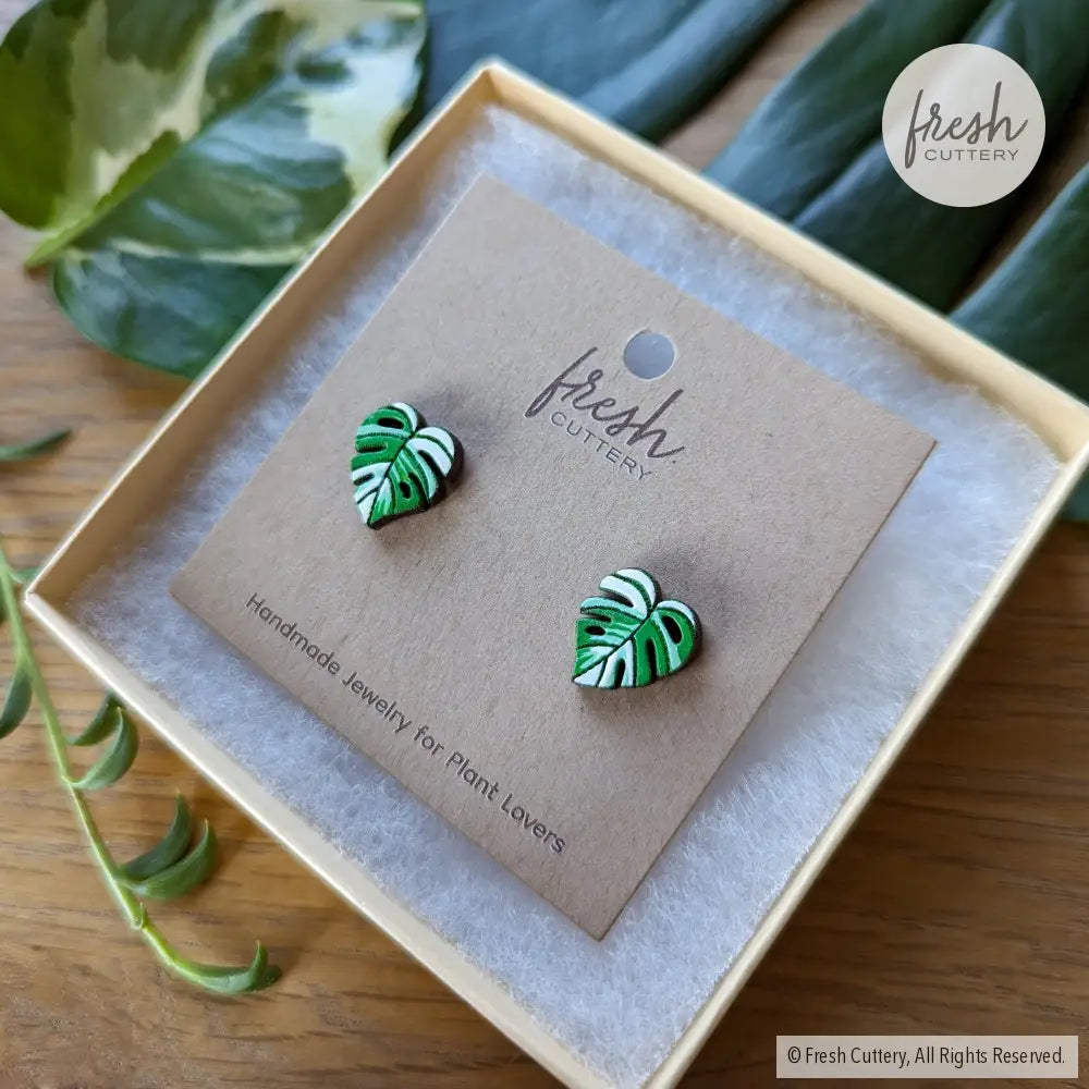 Monstera Albo Studs