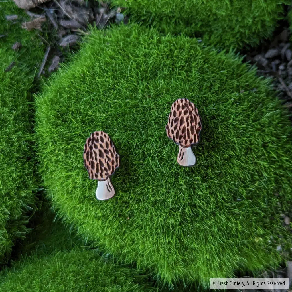Morel Mushroom Studs