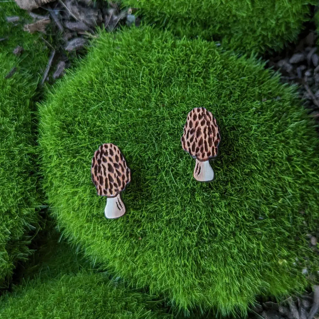 Morel Mushroom Studs