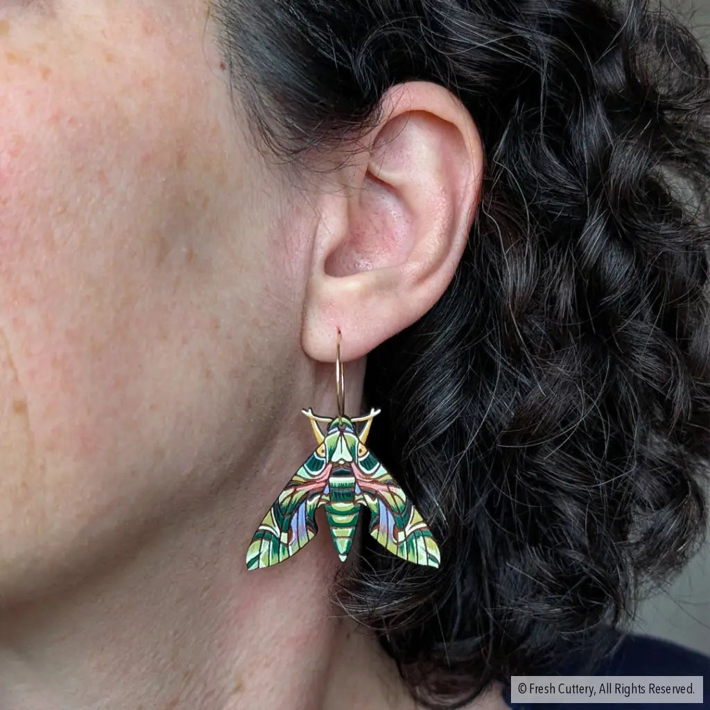 Oleander Hawk Moth Earrings Dangle and Drop Earrings